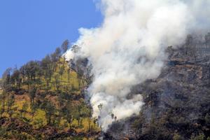 Kebakaran hutan kawasan Gunung Bromo