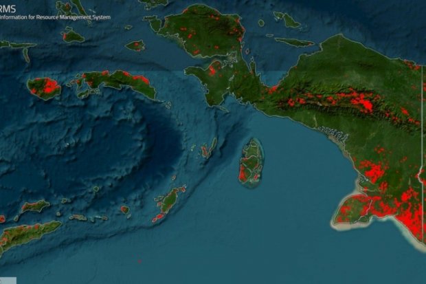 Papua Selatan Jadi Episentrum Baru Kebakaran Hutan dan Lahan