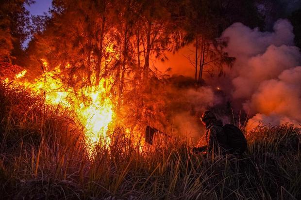 Pakar Hukum Sebut Pelaku Kebakaran Bromo Terancam Pidana dan Denda Lingkungan