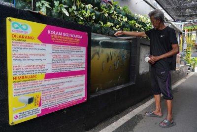 Inovasi RT Malaka Jaya Jaktim, Kurangi Sampah hingga Ternak Lele di Got (Foto: Katadata/Fauza Syahputra) 