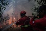 Pemadaman kebakaran lahan perkebunan sawit di Sungai Rambutan