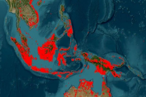 Titik Panas Berjejalan: Agustus Berasap di Kalimantan, Sumatra dan Papua