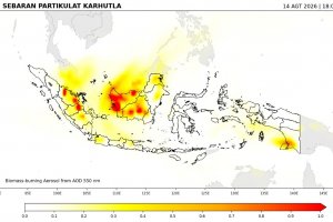 Sebaran Partikulat Karhutla