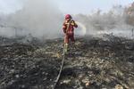 Upaya penanganan karhutla di Muaro Jambi