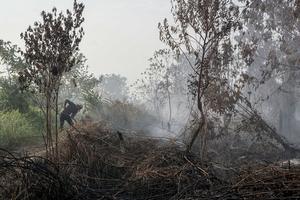 Upaya pemadaman karhutla di Kampar