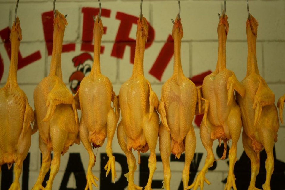 Ide Nama Usaha Jualan Ayam