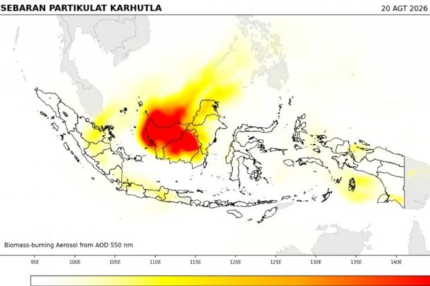 Kalimantan Membara, Asean Siaga Krisis Asap