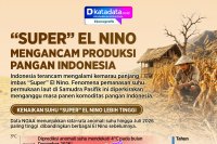 INFOGRAFIK: “Super” El Nino Mengancam Produksi Pangan Indonesia