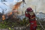 Upaya pemadaman kebakaran lahan di Batang Hari