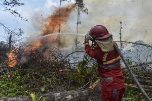 Upaya pemadaman kebakaran lahan di Batang Hari