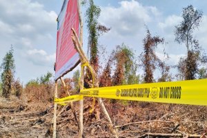 KLH menyegel konsesi PT Bintang Harapan Palma di Sumatra Selatan