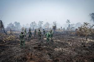 Penanganan karhutla di Riau