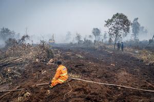 Penanganan karhutla di Riau