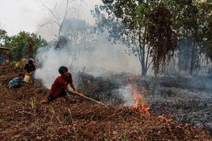 Luasan karhutla di Palangka Raya