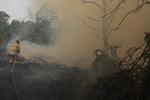 Luas kebakaran hutan dan lahan di Kalimantan Tengah
