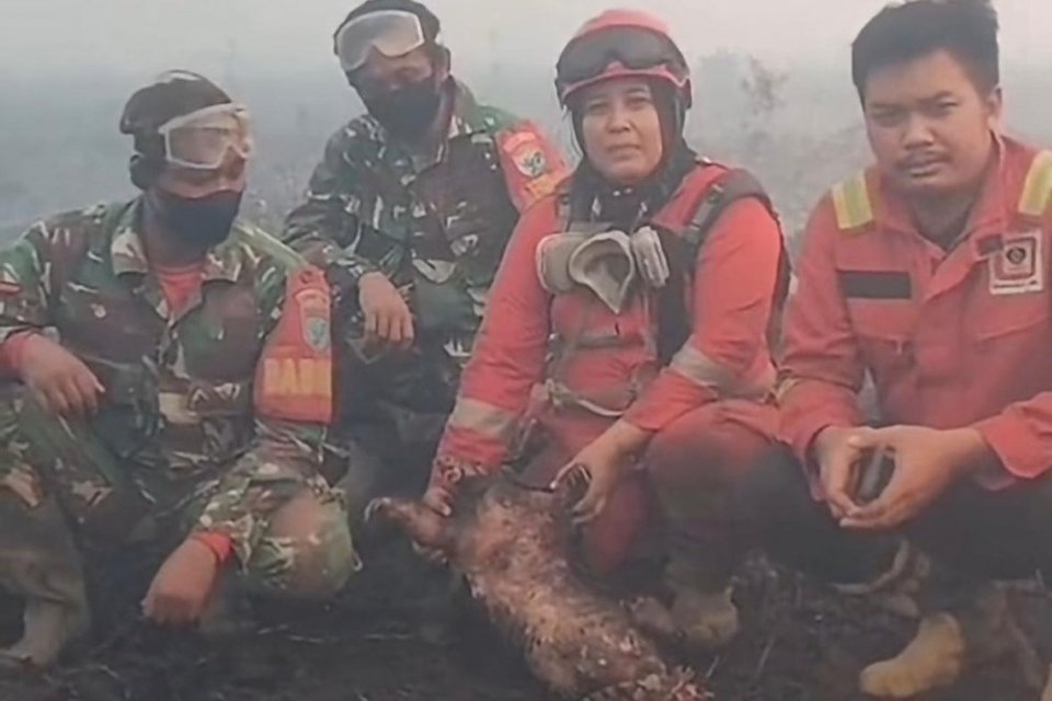 Tim Manggala Agni menemukan bangkai trenggiling di tengah lokasi kebakaran hutan dan lahan (karhutla) di Ketapang, Kalimantan Barat. Provinsi Kalimantan Barat menjadi wilayah dengan luasan kebakaran paling masif.