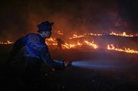 Upaya penanganan karhutla di Kalteng