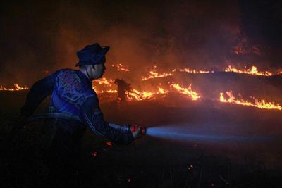 Upaya penanganan karhutla di Kalteng
