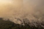 Pemadaman karhutla di Hutan Lindung Gambut Londerang