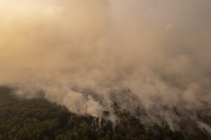 Pemadaman karhutla di Hutan Lindung Gambut Londerang