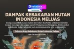 INFOGRAFIK: Dampak Kebakaran Hutan Indonesia Meluas