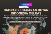 INFOGRAFIK: Dampak Kebakaran Hutan Indonesia Meluas