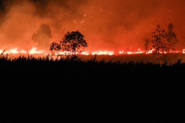 Nihil di Riau dan Jambi, Ribuan Titik Panas Masih Bertaburan di Kalimantan