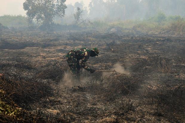 Bahaya Api Membara di Kawasan Gambut, Teknologi Pemantauan Air Disebar