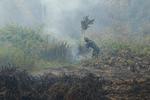 Upaya pemadaman karhutla di Lintang Batang Kalbar