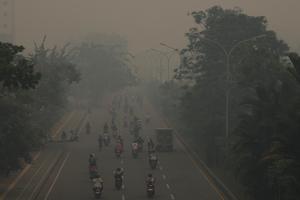 Kabut asap pekat melanda Pontianak