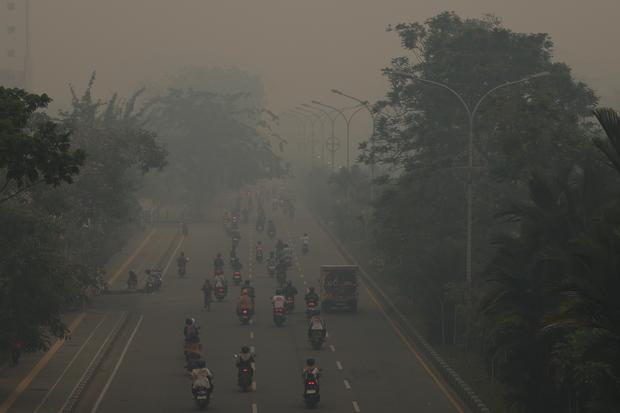 Kabut asap pekat melanda Pontianak