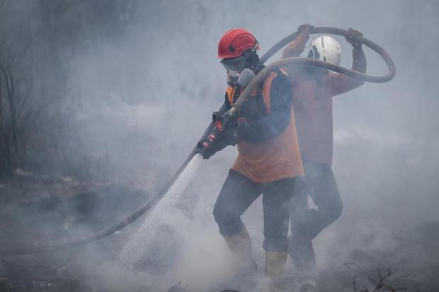 KLH Segel 57 Entitas Usaha Imbas Karhutla, Didominasi Perkebunan Kelapa Sawit