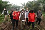 Menhut cabut izin usaha lima perusahaan