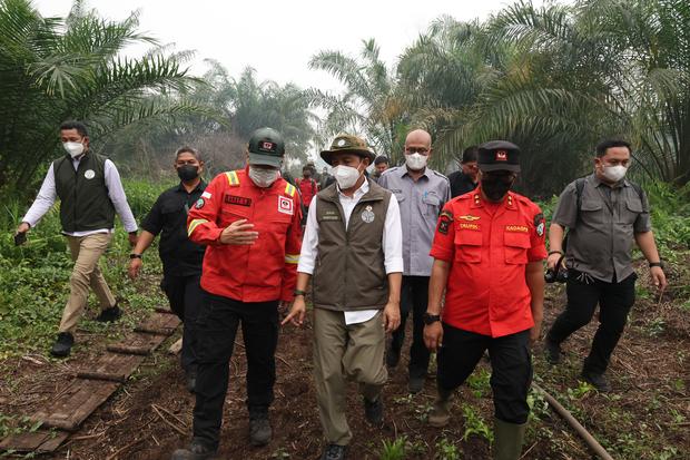 Larang Sawit di APL Bekas Kebakaran, Raja Juli Ditagih Urusan Hutan