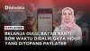 Belanja Dulu, Bayar Nanti? Dibalik Gaya Hidup dengan Paylater