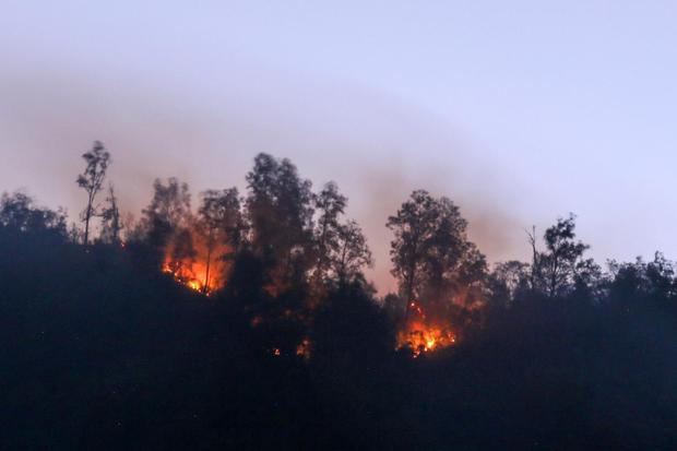 Kebakaran meluas di kawasan Gunung Ijen