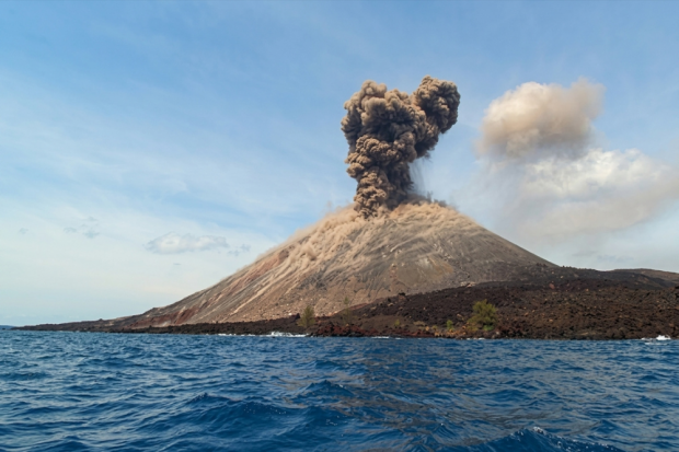 Erupsi Anak Krakatau, BRIN Wanti-wanti Jangan Konsumsi Ikan yang Mati Mendadak