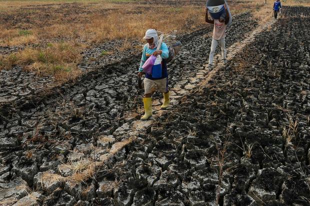 197 Daerah Berstatus Awas Kekeringan, Bantul Hampir Lima Bulan Tanpa Hujan