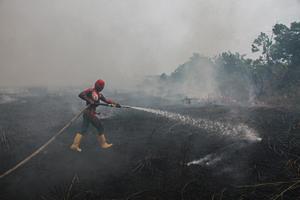 Tanggap darurat karhutla dan kekeringan di Palangka Raya diperpanjang