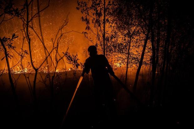 Karhutla dominasi kejadian bencana di Indonesia