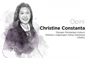 Christine Constanta