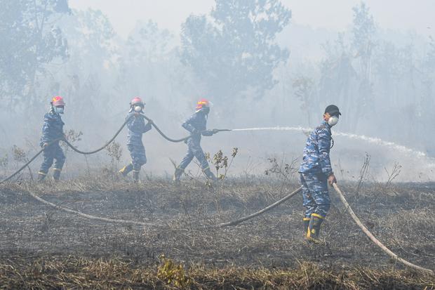 Kemenhut Proses Hukum 31 Kasus Karhutla, 18 Perkara di Kalimantan