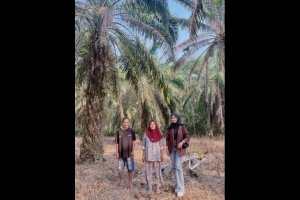 Mantri BRI Alifia Naura Nazifah (kanan) mendampingi debitur di area perkebunan Ogan Komering Ilir, Sumatera Selatan, sebagai bagian dari upaya menjaga