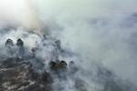 Upaya pemdaman karhutla di Kolaka Timur