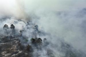Upaya pemdaman karhutla di Kolaka Timur