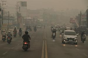 Kabut asap karhutla di Palangka Raya