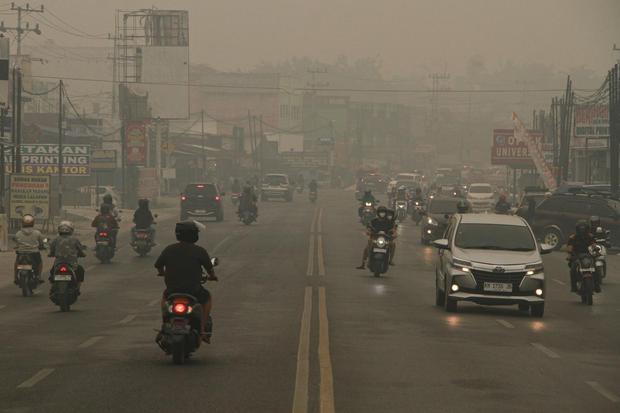 CREA: Polusi Udara RI Tewaskan 3.700 Orang pada Agustus, 1.700 Akibat Karhutla