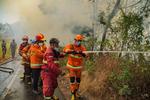 Penanganan Kebakaran Kawasan TNBTS