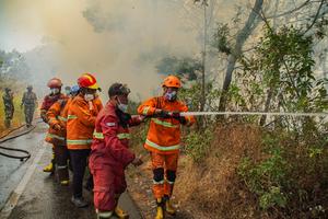 Penanganan Kebakaran Kawasan TNBTS