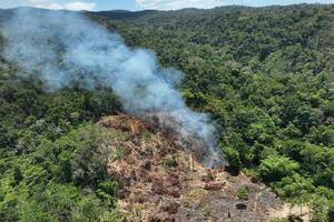 Pembakaran lahan untuk perkebunan